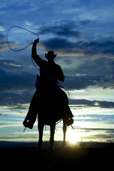 Wall Mural - Cowboy on horse facing roping
