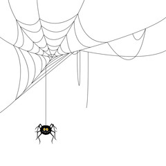 vector illustration of a spider and a web