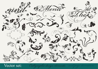 Canvas Print - collection of decorative design elements