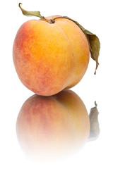 Wall Mural - Peach with reflection