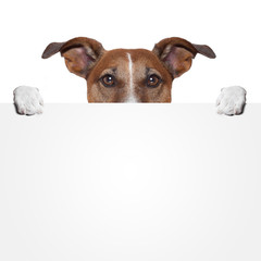 Poster - placeholder banner dog