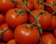 rote große tomaten