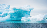 Fototapeta Zwierzęta - White iceberg in Antarctica