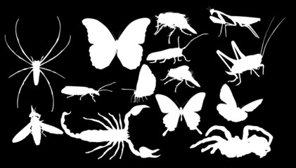 Canvas Print - fourteen insect black silhouettes