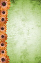 Grüner Hintergrund Mit Orangen Blumen