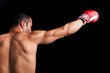 © cristovao31 - Young Boxer fighter over black background