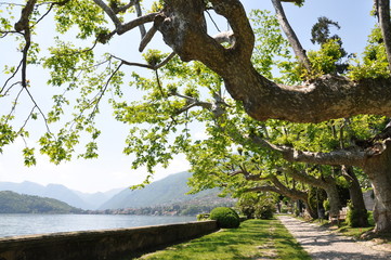 Sticker - Tremezzo town at the famous Italian lake Como