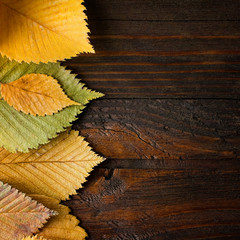 Wall Mural - Autumn Leaves border on dark wood