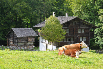 Swiss village