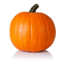 Pumpkin on white