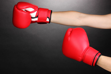 Wall Mural - Red boxing gloves on hands on grey background