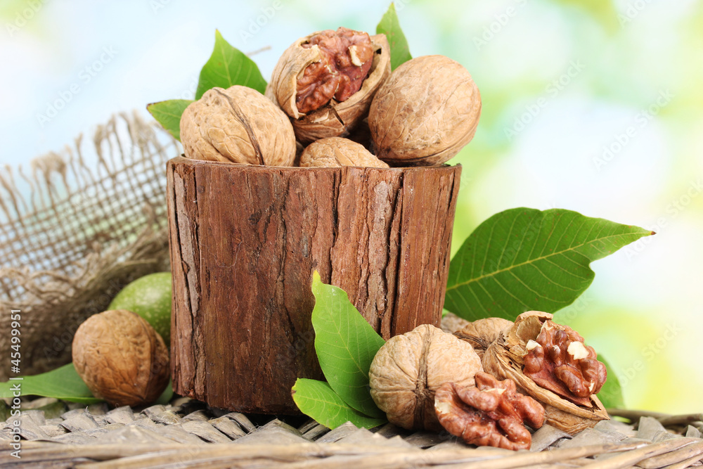 walnuts with green leaves in garden, on green background