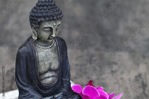 Foto-Schiebevorhang (ohne Schiene) - Buddhafigur (von Racamani)