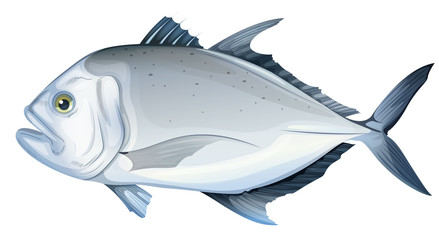 Wall Mural - Giant trevally