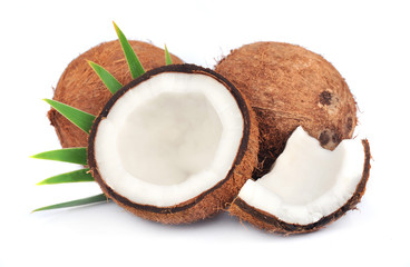 Sticker - Coconuts with leaves