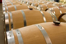 Wine Barrels In Wineyard Cellar