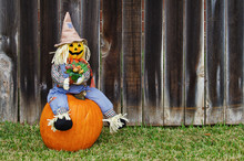 Scarecrow Sitting On The Pumpkin