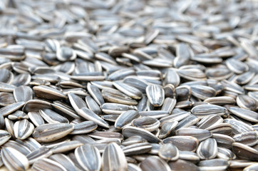 Sunflower seeds