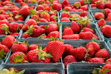 Narrow Focus Horizontal Strawberries