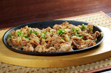 Poster - .Chinese dish -pork  with vegetables