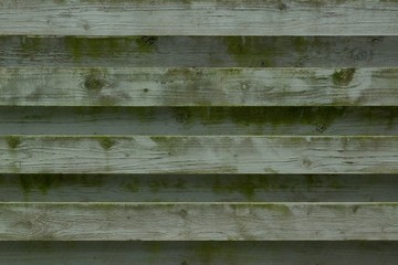 Photo of an old green painted fence