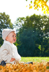 Poster - baby sitzend im laub