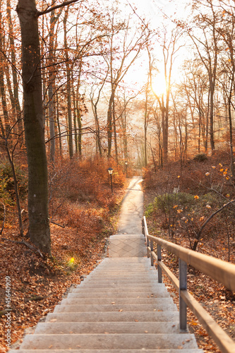 Nowoczesny obraz na płótnie Herbstlicher Waldweg