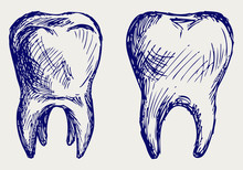 Tooth. Doodle Style