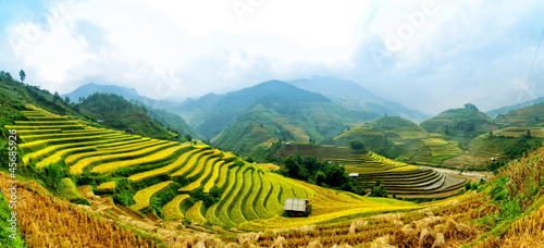 Naklejka na szybę Rice Terraces in Vietnam