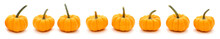 Autumn Border Of Pumpkins In A Row With White Background