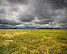 Heavy Rain Over A Prairie In Brittany, France