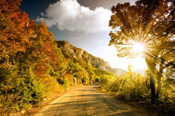 Wall Mural - Mountain road at sunset