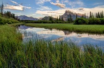 Wall Mural - Vermilion Lakes Marshland With Mountain Reflection