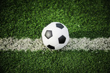 Fototapeta Sport - football on green grass