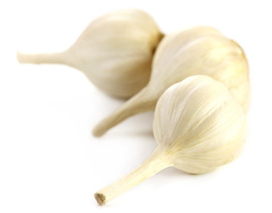 Poster - Garlics on white background