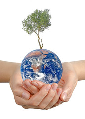 Wall Mural - Gift of Earth.Elements of this image furnished by NASA