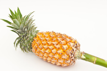 Poster - Pineapple