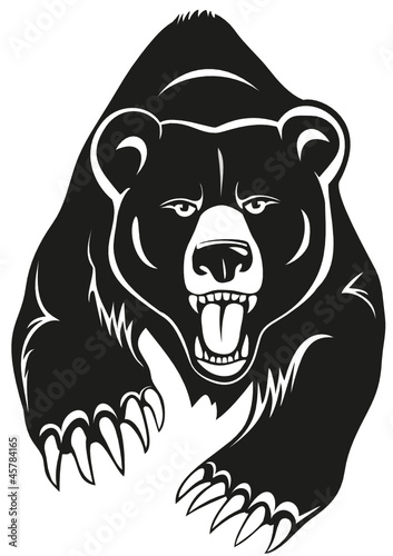 Nowoczesny obraz na płótnie Bear