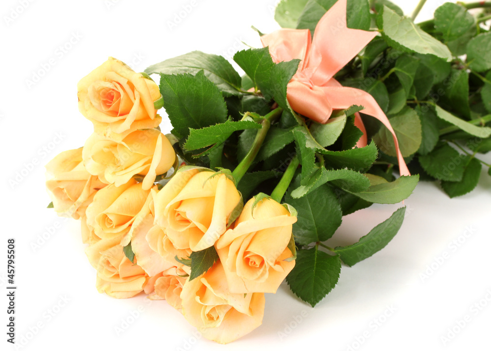 beautiful bouquet of roses isolated on white
