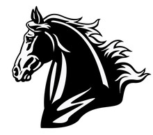 Horse Head Black White