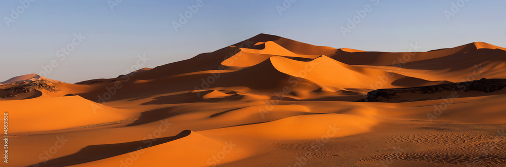 Panorama of desert, Africa, Algeria - obrazy, fototapety, plakaty 