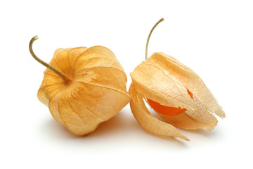 Sticker - Two Physalis fruits