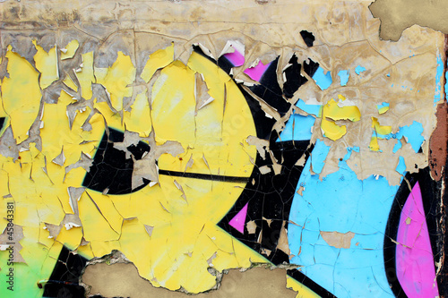 Graffiti Wall Canvas Print