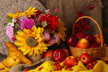 Colorful Autumn Still Life With Apples
