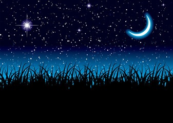 Wall Mural - Moon space grass