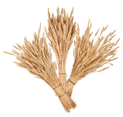 Wall Mural - sheaves of wheat