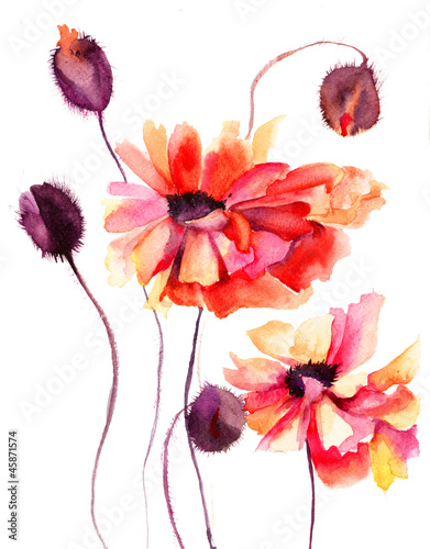 Naklejka - mata magnetyczna na lodówkę Beautiful Poppy flowers, Watercolor painting