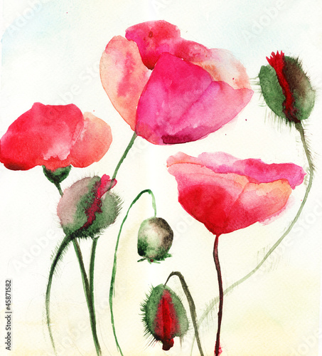 Obraz w ramie Stylized Poppy flowers illustration
