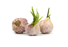 Fresh Garlic Isolated On White Background