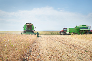 Poster - Harvesting of soy bean